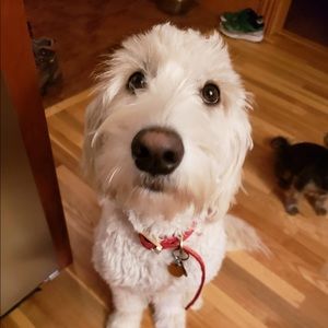 Meet your Posher, Gabrielle